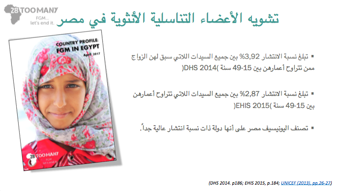 Presentation: FGM in Egypt (2017, Arabic)